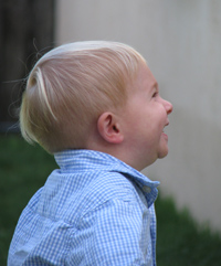 Profile